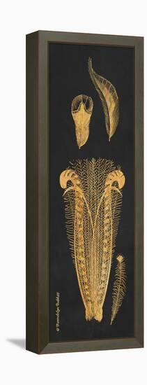 Gold Feathers I-Gwendolyn Babbitt-Framed Stretched Canvas