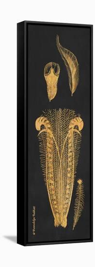 Gold Feathers I-Gwendolyn Babbitt-Framed Stretched Canvas