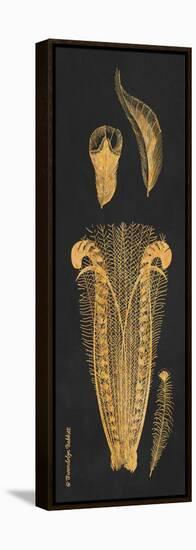 Gold Feathers I-Gwendolyn Babbitt-Framed Stretched Canvas