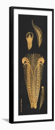 Gold Feathers I-Gwendolyn Babbitt-Framed Art Print
