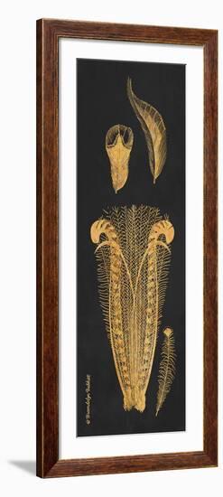 Gold Feathers I-Gwendolyn Babbitt-Framed Art Print