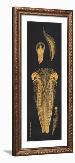 Gold Feathers I-Gwendolyn Babbitt-Framed Art Print