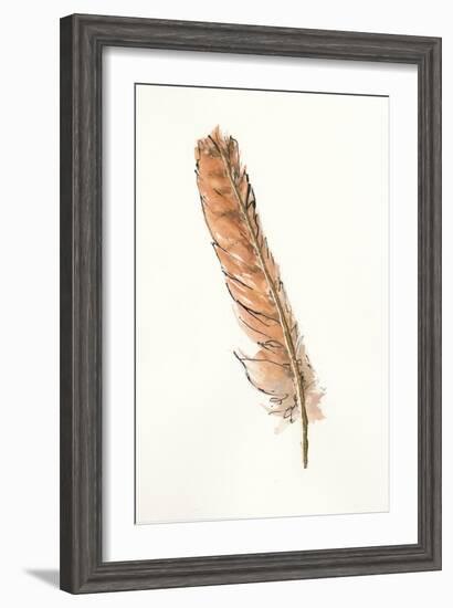 Gold Feathers II-Chris Paschke-Framed Art Print