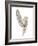 Gold Feathers VIII-Chris Paschke-Framed Art Print