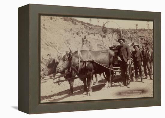 Gold Fever. Prospectors Going to the New Gold Field-John C.H. Grabill-Framed Stretched Canvas