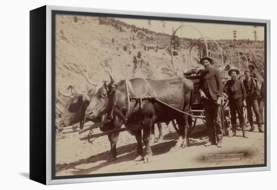 Gold Fever. Prospectors Going to the New Gold Field-John C.H. Grabill-Framed Stretched Canvas