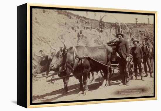 Gold Fever. Prospectors Going to the New Gold Field-John C.H. Grabill-Framed Stretched Canvas