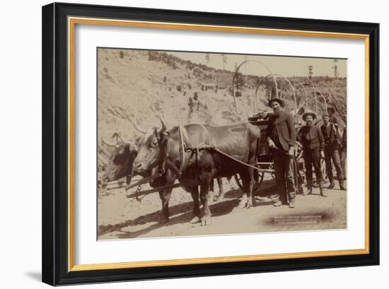 Gold Fever. Prospectors Going to the New Gold Field-John C.H. Grabill-Framed Art Print