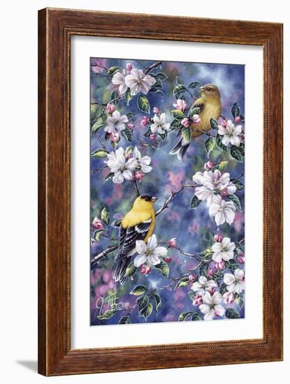 Gold Finch and Blossoms-Jeff Tift-Framed Giclee Print