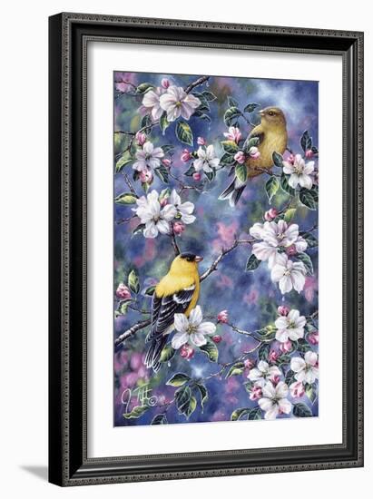 Gold Finch and Blossoms-Jeff Tift-Framed Giclee Print