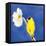 Gold Finch on White Cosmos-Shirley Novak-Framed Stretched Canvas
