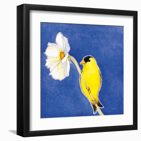 Gold Finch on White Cosmos-Shirley Novak-Framed Art Print