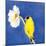 Gold Finch on White Cosmos-Shirley Novak-Mounted Art Print