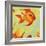 Gold Fish 1-Rabi Khan-Framed Art Print