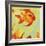 Gold Fish 1-Rabi Khan-Framed Art Print