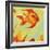 Gold Fish 1-Rabi Khan-Framed Art Print