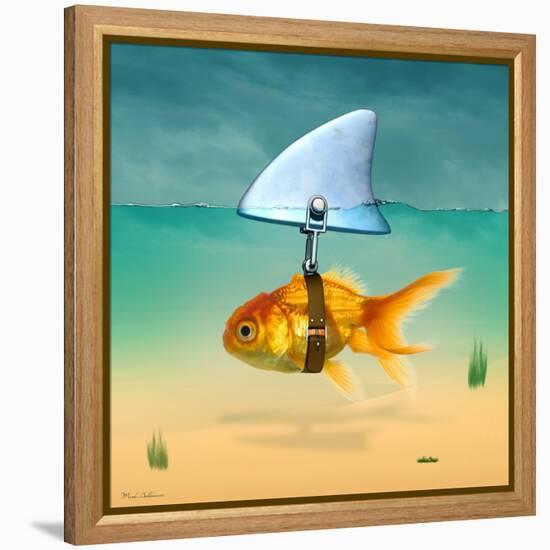 Gold Fish-Mark Ashkenazi-Framed Premier Image Canvas