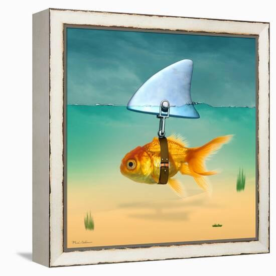 Gold Fish-Mark Ashkenazi-Framed Premier Image Canvas