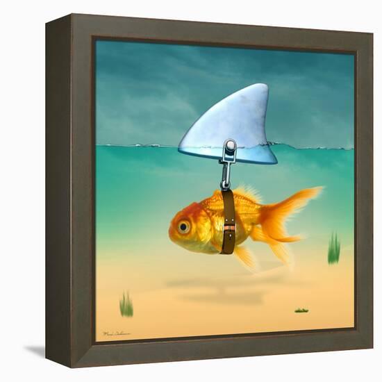 Gold Fish-Mark Ashkenazi-Framed Premier Image Canvas