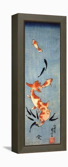Gold Fish-Kuniyoshi Utagawa-Framed Premier Image Canvas