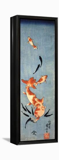 Gold Fish-Kuniyoshi Utagawa-Framed Premier Image Canvas