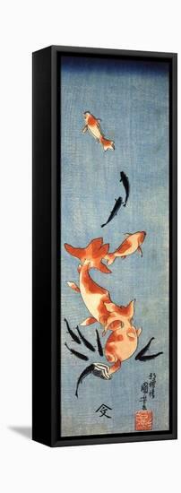 Gold Fish-Kuniyoshi Utagawa-Framed Premier Image Canvas