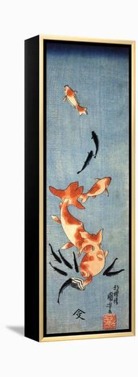 Gold Fish-Kuniyoshi Utagawa-Framed Premier Image Canvas