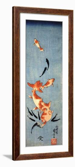 Gold Fish-Kuniyoshi Utagawa-Framed Giclee Print
