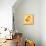 Gold Fish-Elizabeth Medley-Mounted Art Print displayed on a wall