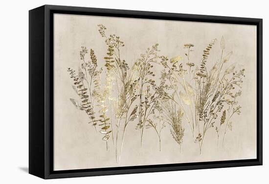 Gold Floral-Aria K-Framed Stretched Canvas