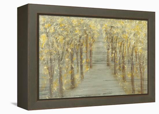 Gold Forest-Roberto Gonzalez-Framed Stretched Canvas