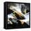 Gold Fusion 1-Thomas Leung-Framed Premier Image Canvas