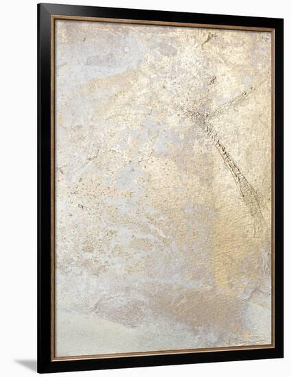 Gold Fusion V-Julia Contacessi-Framed Premium Giclee Print