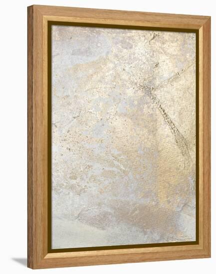 Gold Fusion V-Julia Contacessi-Framed Stretched Canvas