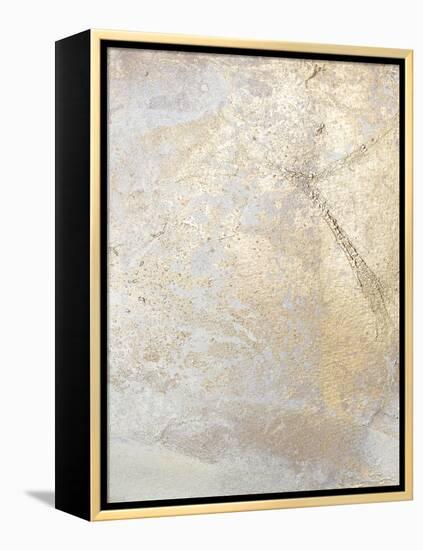 Gold Fusion V-Julia Contacessi-Framed Stretched Canvas