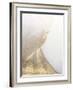 Gold Fusion VI-Julia Contacessi-Framed Art Print
