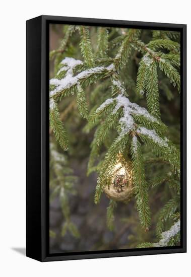 Gold glass Christmas ornament on evergreen tree with snow on branches, Bamberg, Germany-Lisa Engelbrecht-Framed Premier Image Canvas