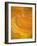 gold groove-Kenny Primmer-Framed Art Print