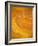 gold groove-Kenny Primmer-Framed Art Print