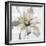 Gold-hearted Flower-Tania Bello-Framed Giclee Print