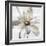 Gold-hearted Flower-Tania Bello-Framed Giclee Print