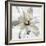 Gold-hearted Flower-Tania Bello-Framed Giclee Print
