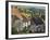 Gold Hill, and View over Blackmore Vale, Shaftesbury, Dorset, England, United Kingdom, Europe-Neale Clarke-Framed Photographic Print