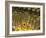 Gold Ingots, Frankfurt, Germany, Europe-Hans Peter Merten-Framed Photographic Print