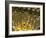 Gold Ingots, Frankfurt, Germany, Europe-Hans Peter Merten-Framed Photographic Print