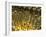 Gold Ingots, Frankfurt, Germany, Europe-Hans Peter Merten-Framed Photographic Print