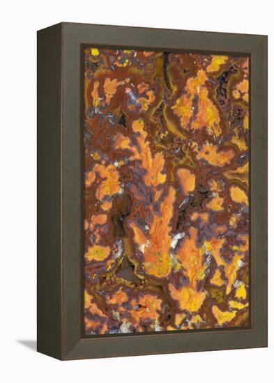 Gold Leaf Agate-Darrell Gulin-Framed Premier Image Canvas