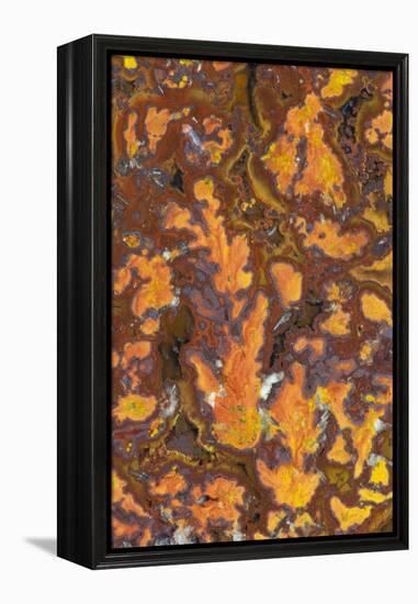 Gold Leaf Agate-Darrell Gulin-Framed Premier Image Canvas