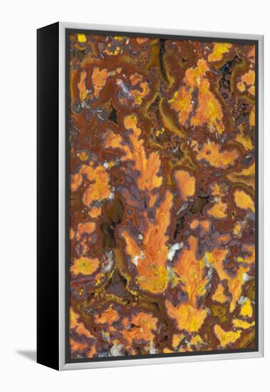 Gold Leaf Agate-Darrell Gulin-Framed Premier Image Canvas