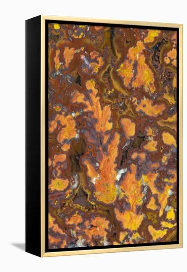 Gold Leaf Agate-Darrell Gulin-Framed Premier Image Canvas